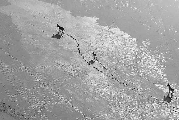 Helicopter flight over Sua Pan - Makgadikgadi