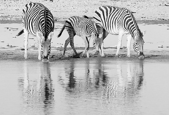 Makgadikgadi