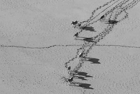 Helicopter flight over Sua Pan - Makgadikgadi