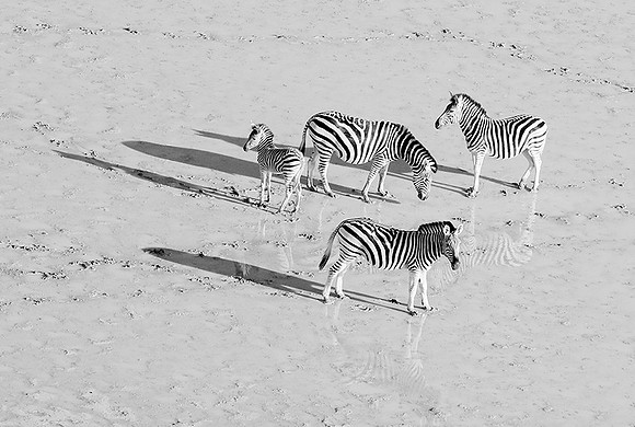 Helicopter flight over Makgadikgai