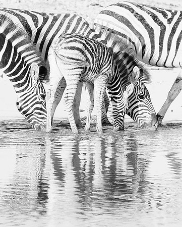 Makgadikgadi