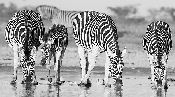 Makgadikgadi