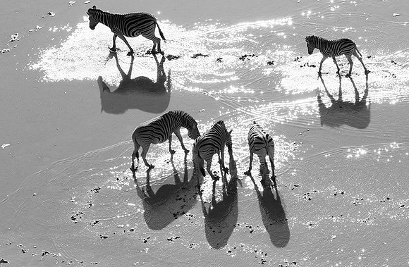 Makgadikgadi