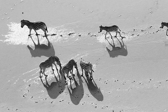Helicopter flight over Sua Pan - Makgadikgadi