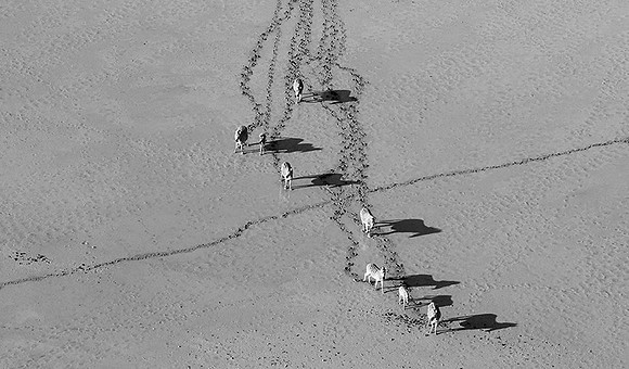 Helicopter flight over Sua Pan - Makgadikgadi