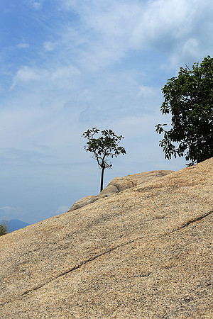 Ninh Van Bay