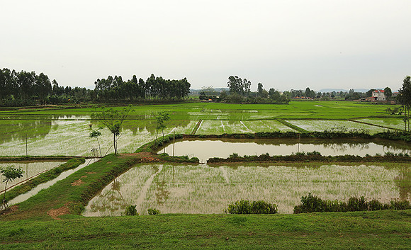 Landscape near Hanoï