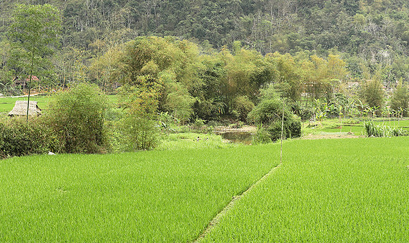 Pu Luong - Northern Vietnam