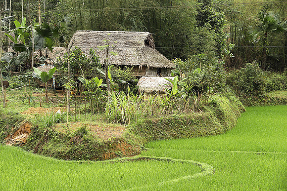 Pu Luong - Northern Vietnam