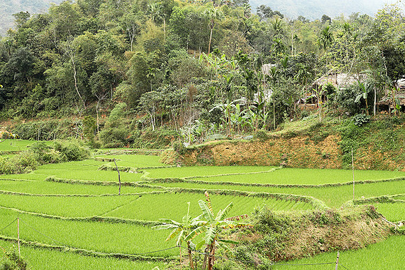 Pu Luong - Northern Vietnam