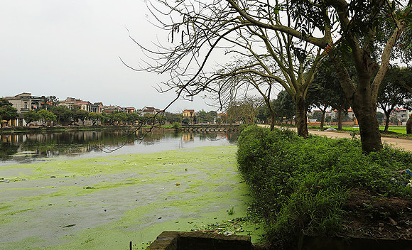 Landscape near Hanoï