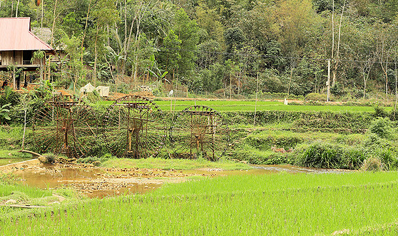 Pu Luong - Northern Vietnam