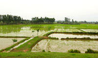 Landscape near Hanoï