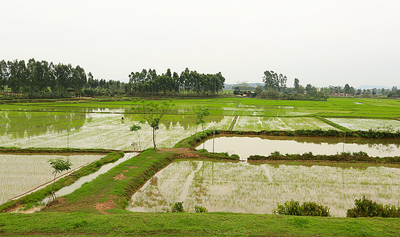 Landscape near Hanoï
