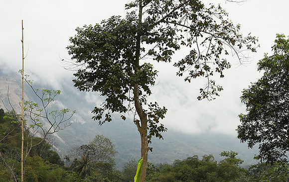 Pu Luong - Northern Vietnam