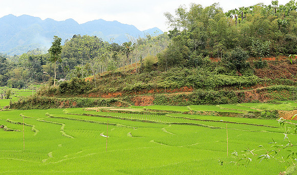 Pu Luong - Northern Vietnam