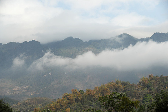 North Vietnam