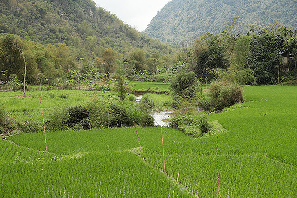Pu Luong - Northern Vietnam