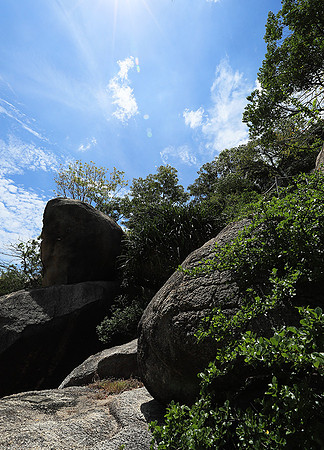 Ninh Van Bay