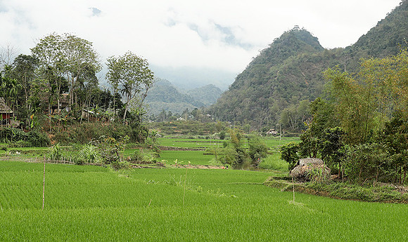 Pu Luong - Northern Vietnam