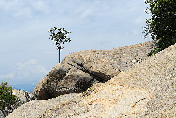 Ninh Van Bay