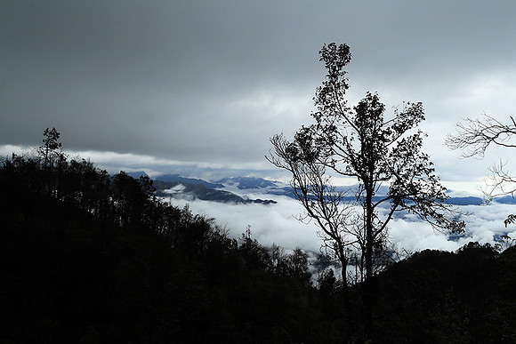 North Vietnam