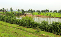 Landscape near Hanoï