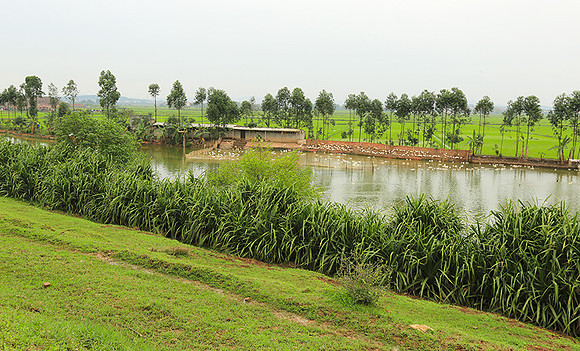 Landscape near Hanoï