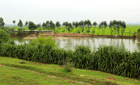 Landscape near Hanoï