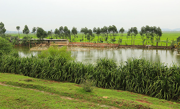 Landscape near Hanoï