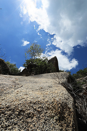Ninh Van Bay