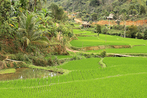 Pu Luong - Northern Vietnam