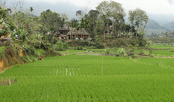 Pu Luong - Northern Vietnam