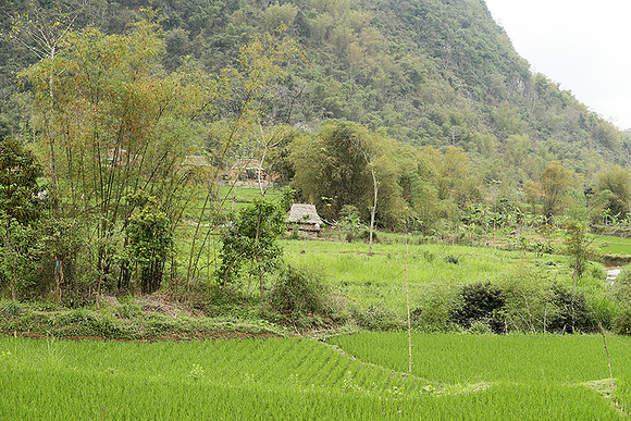 Pu Luong - Northern Vietnam