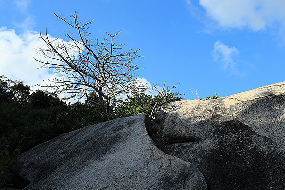Ninh Van Bay