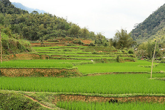 Pu Luong - Northern Vietnam