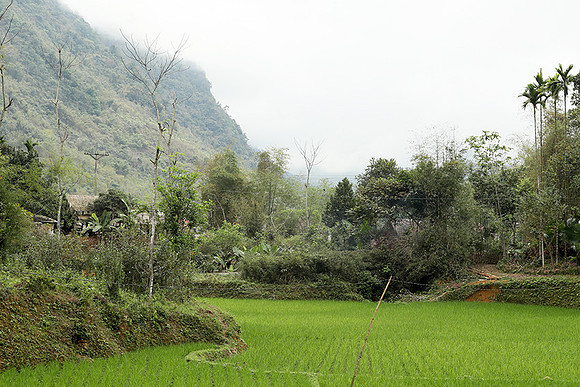 Pu Luong - Northern Vietnam