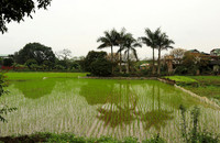 Landscape near Hanoï