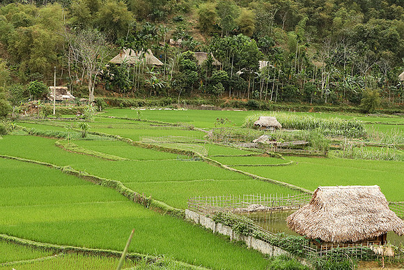 Pu Luong - Northern Vietnam