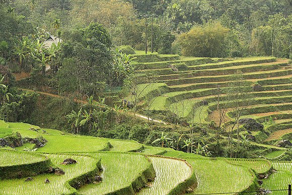 Pu Luong - Northern Vietnam