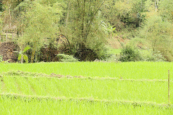 Pu Luong - Northern Vietnam