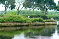 Landscape near Hanoï