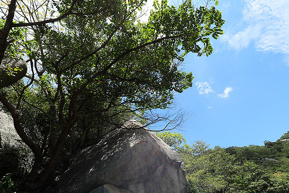 Ninh Van Bay