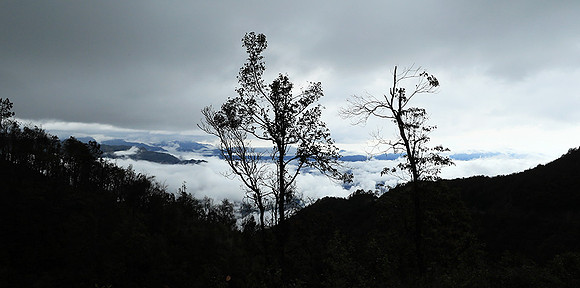 North Vietnam