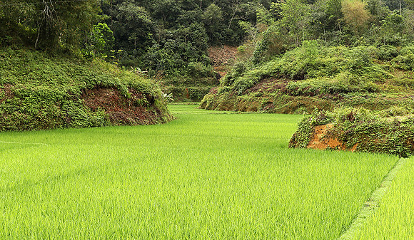 Pu Luong - Northern Vietnam