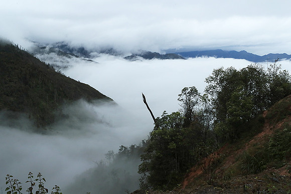 North Vietnam