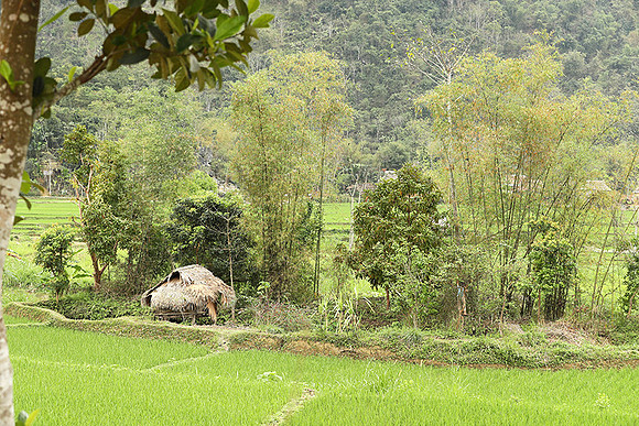 Pu Luong - Northern Vietnam