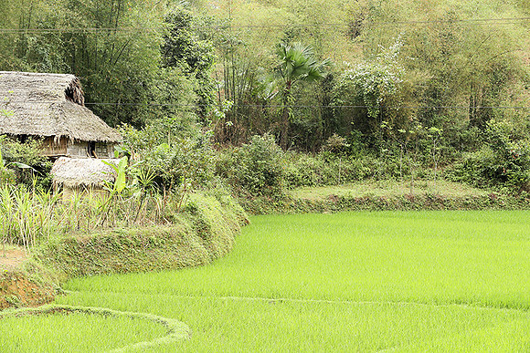 Pu Luong - Northern Vietnam