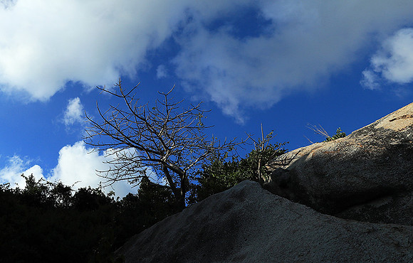 Ninh Van Bay