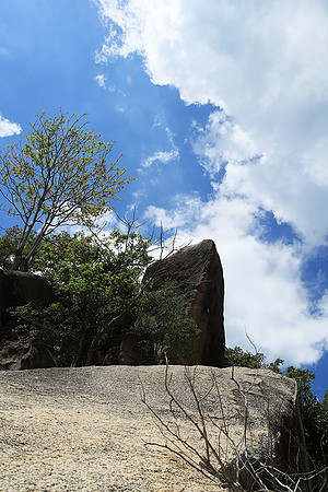 Ninh Van Bay